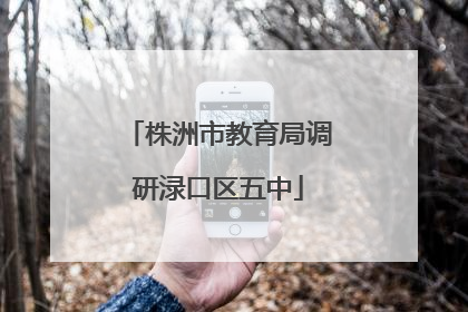 株洲市教育局调研渌口区五中